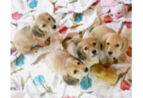 �_�b�N�XM�E�����O�@�q���B