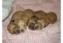 �_�b�N�XM�E�����O�@�q���B