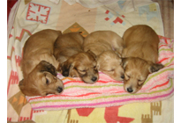 �_�b�N�XM�E�����O�@�q���B