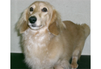 �~�j�`���A�_�b�N�X�@�N���[���@�h���[���N