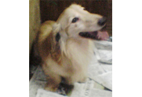 �_�b�N�XM�E�����O�@�N���[���@�����F�^���N