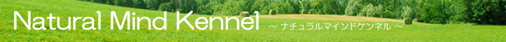 �e���̔��E�e�����[�i�`�������}�C���h����]Natural Mind Kennel�E�g�C�v�[�h���E�~�j�`���A�_�b�N�X�E�S����u���[�_�[���̃T�C�g