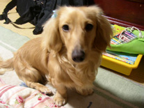 [60404_1]�~�j�`���A�E�_�b�N�X�E�����O�@�N���[���@���I���N