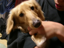 [60404_2]�~�j�`���A�E�_�b�N�X�E�����O�@�N���[���@���I���N