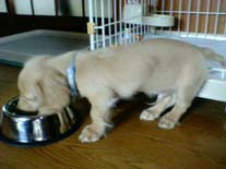 [���H����]�~�j�`���A�E�_�b�N�X�E�����O�@�N���[���@���I���N