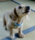 [���I��]�~�j�`���A�E�_�b�N�X�E�����O�@�N���[���@���I���N