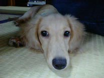 [�x�e�E�E�E]�~�j�`���A�E�_�b�N�X�E�����O�@�N���[���@���I���N