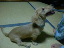 [���I��2]�~�j�`���A�E�_�b�N�X�E�����O�@�N���[���@���I���N