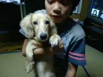 [������]�~�j�`���A�E�_�b�N�X�E�����O�@�N���[���@���I���N