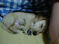 �~�j�`���A�E�_�b�N�X�E�����O�@�N���[���@���I���N