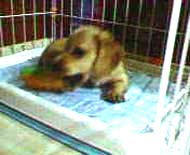 �~�j�`���A�E�_�b�N�X�E�����O�@�N���[���@���I���N