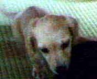 �~�j�`���A�E�_�b�N�X�E�����O�@�N���[���@���I���N