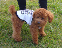 �v�[�h���E�g�C�@���b�h�@�j�̎q�@�Q�O�O�W�N�P���P�X�����@�R�^���E�N