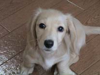 �~�j�`���A�E�_�b�N�X�E�����O�@�N���[���@���������