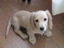 �~�j�`���A�E�_�b�N�X�E�����O�@�N���[���@���������