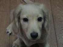 �~�j�`���A�E�_�b�N�X�E�����O�@�N���[���@���������