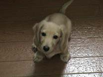 �~�j�`���A�E�_�b�N�X�E�����O�@�N���[���@���������