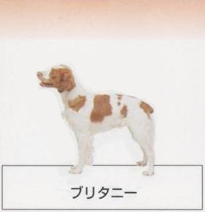 �l�C�̌���[�u���^�j�[]�q���̔��E�y�b�g�V���b�v�y�i�`�������}�C���h�P���l���z�u���[�_�[[������]