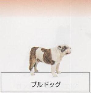 �l�C�̌���[�u���h�b�O]�q���̔��E�y�b�g�V���b�v�y�i�`�������}�C���h�P���l���z�u���[�_�[[������]