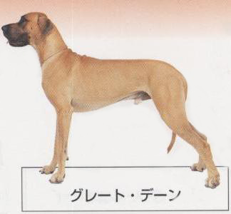 �l�C�̌���[�O���[�g�f�[��]�q���̔��E�y�b�g�V���b�v�y�i�`�������}�C���h�P���l���z�u���[�_�[[������]