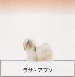 �l�C�̌���[���T�A�v�\]�q���̔��E�y�b�g�V���b�v�y�i�`�������}�C���h�P���l���z�u���[�_�[[������]