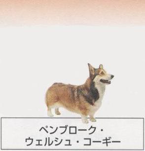 �l�C�̌���[�y���u���[�N�E�F���V���R�[�M�[]�q���̔��E�y�b�g�V���b�v�y�i�`�������}�C���h�P���l���z�u���[�_�[[������]