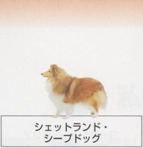 �l�C�̌���[�V�F�b�g�����h�V�[�v�h�b�O]�q���̔��E�y�b�g�V���b�v�y�i�`�������}�C���h�P���l���z�u���[�_�[[������]