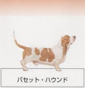 �l�C�̌���[�o�Z�b�g�n�E���h]�q���̔��E�y�b�g�V���b�v�y�i�`�������}�C���h�P���l���z�u���[�_�[[������]