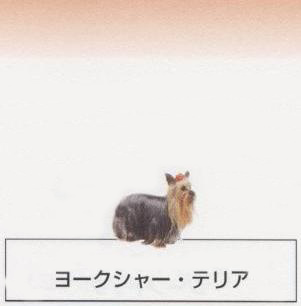 �l�C�̌���[���[�N�V���[�e���A]�q���̔��E�y�b�g�V���b�v�y�i�`�������}�C���h�P���l���z�u���[�_�[[������]