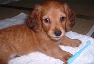 �_�b�N�XM�����O