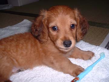 �_�b�N�X�E�l�����O