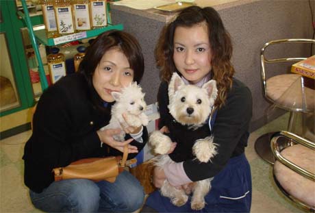 �E�G�X�e�B