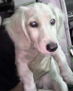 �_�b�N�X�EM�����O