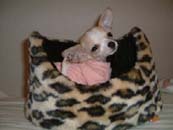 �`�����E�X���[�X