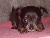 �`�����E�����O