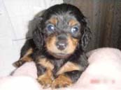 �_�b�N�X�l�E�����O