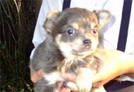 �`�����E�����O